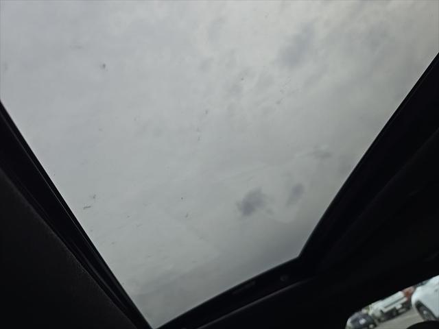 Image 15
