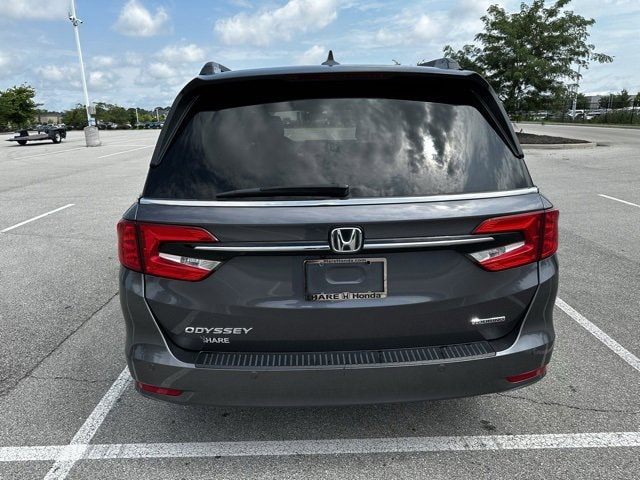 Image 7