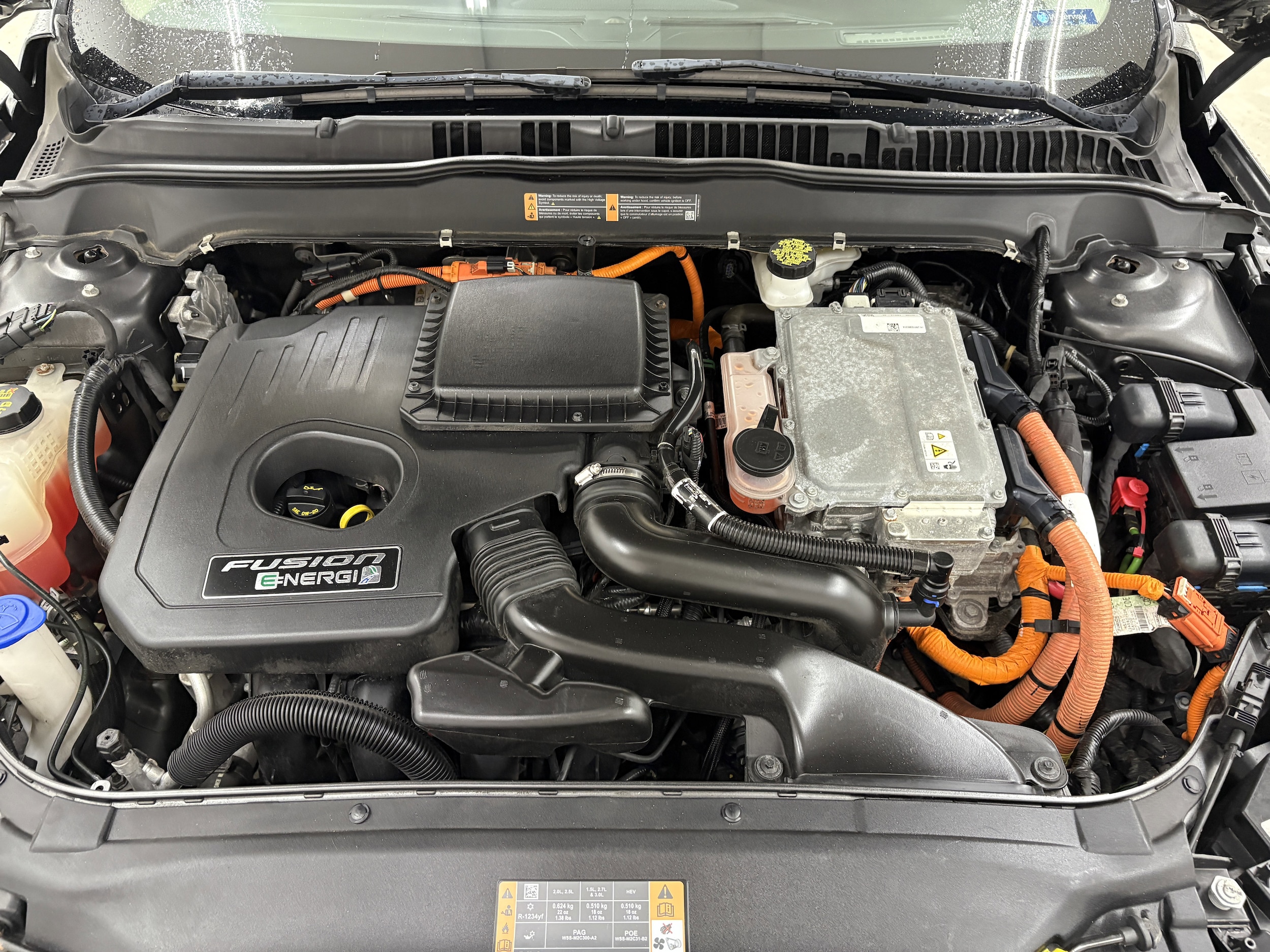 Image 8