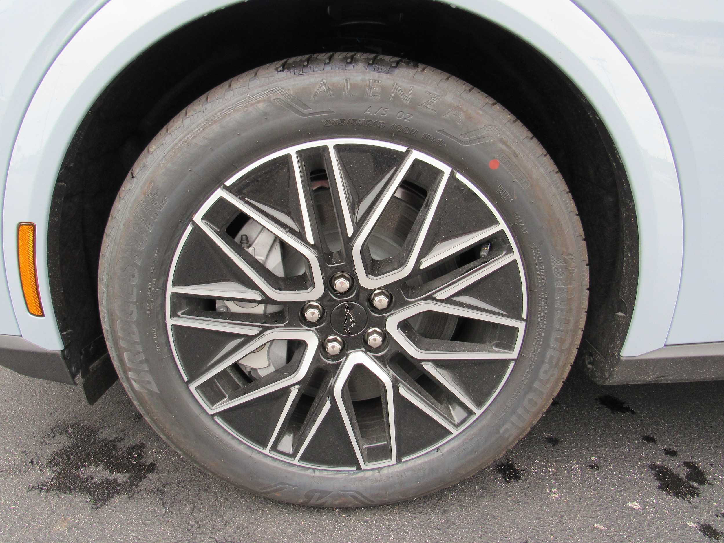 Image 8
