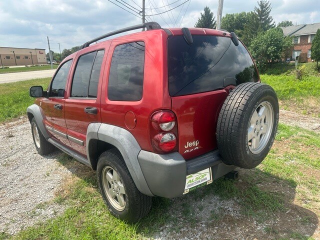 Image 8