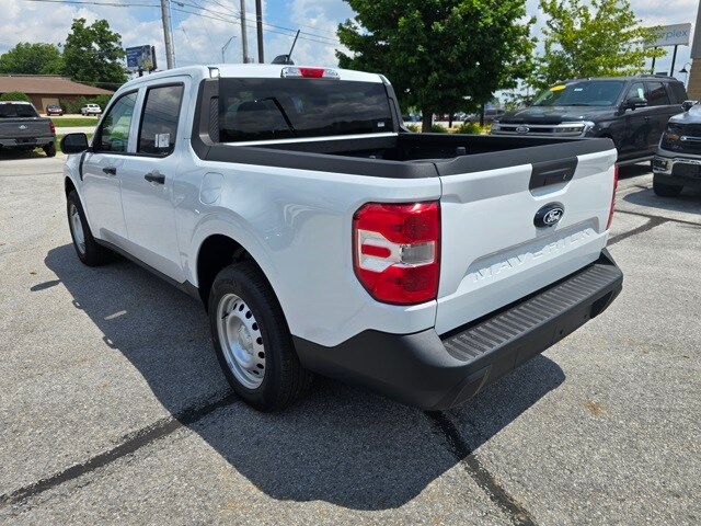 Image 6