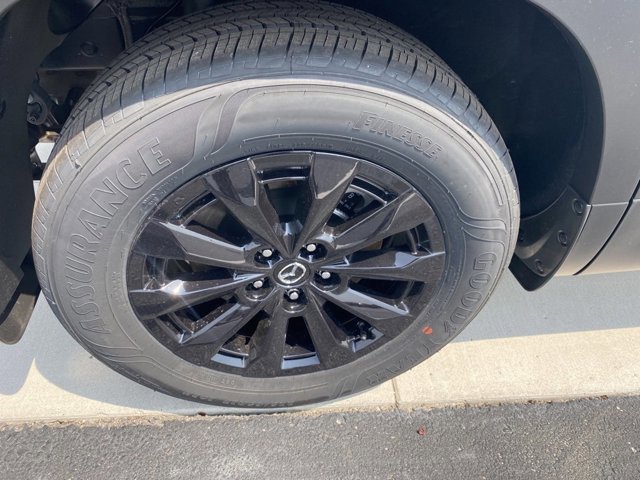Image 8