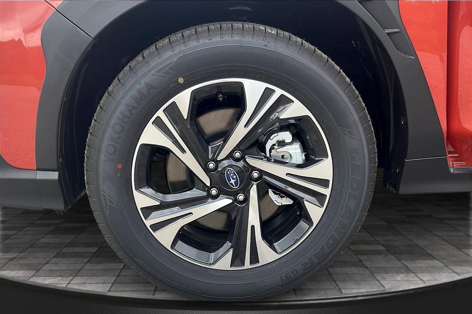 Image 11