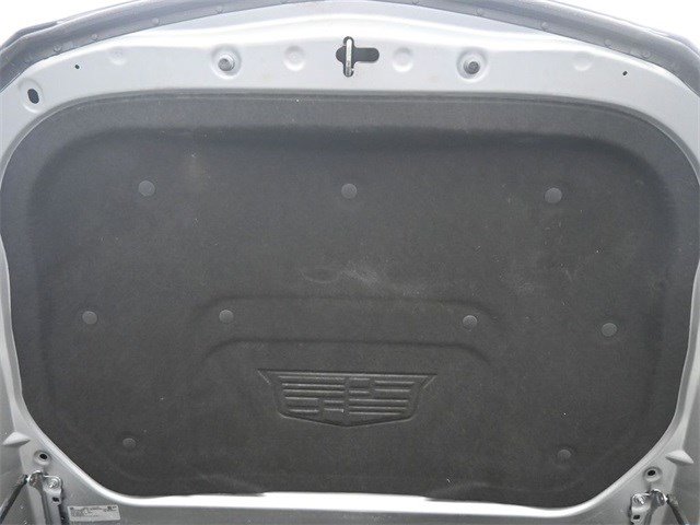 Image 21