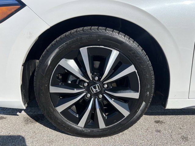 Image 8