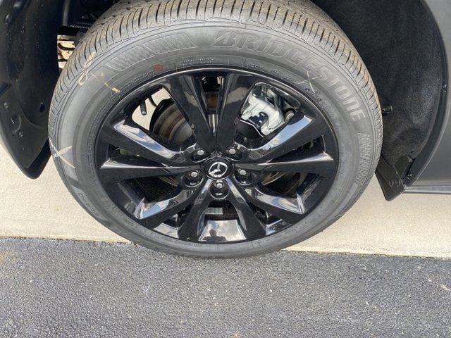 Image 7