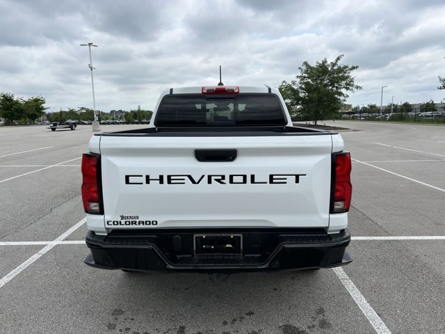 Image 10