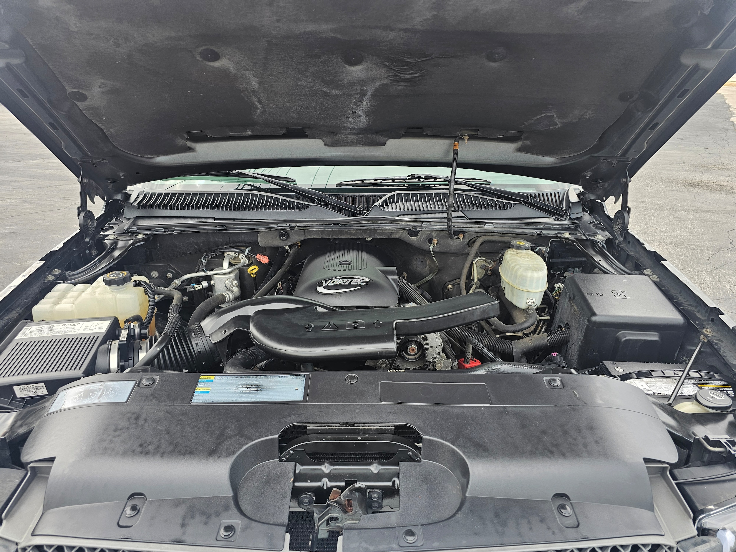 Image 19