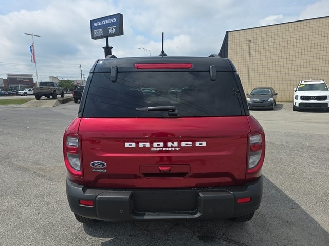 Image 6