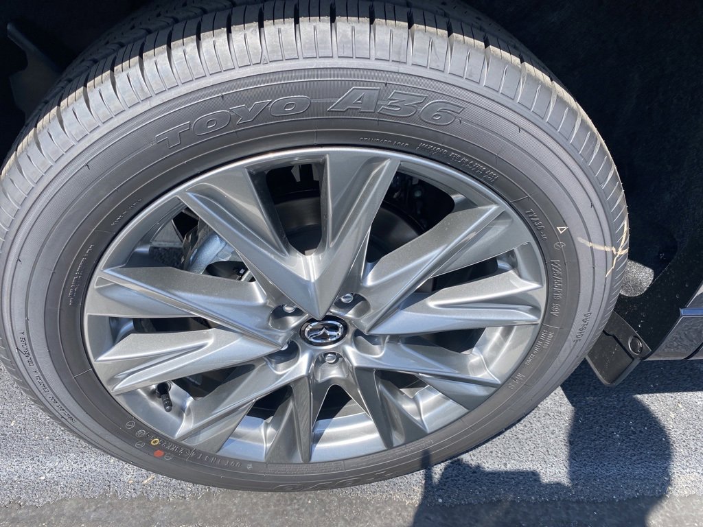 Image 8