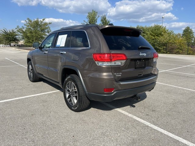 Image 7