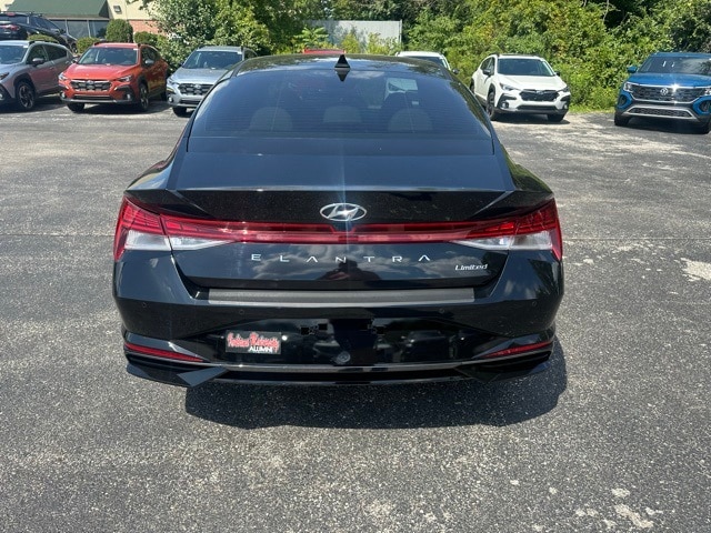 Image 4