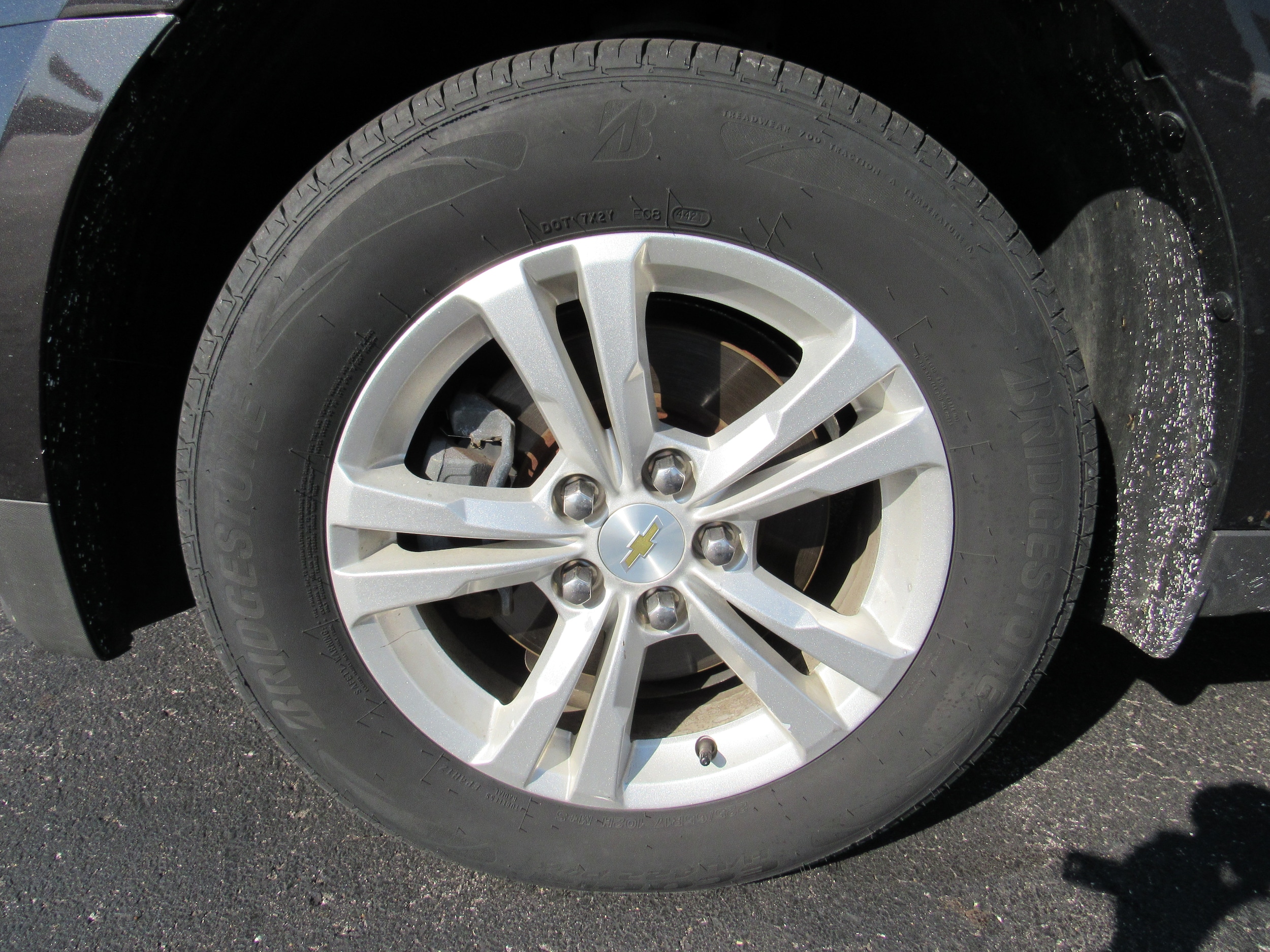 Image 8