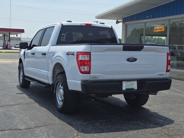 Image 5
