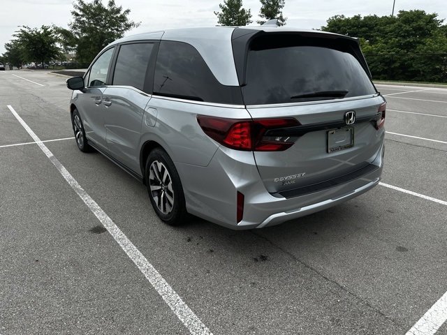 Image 7