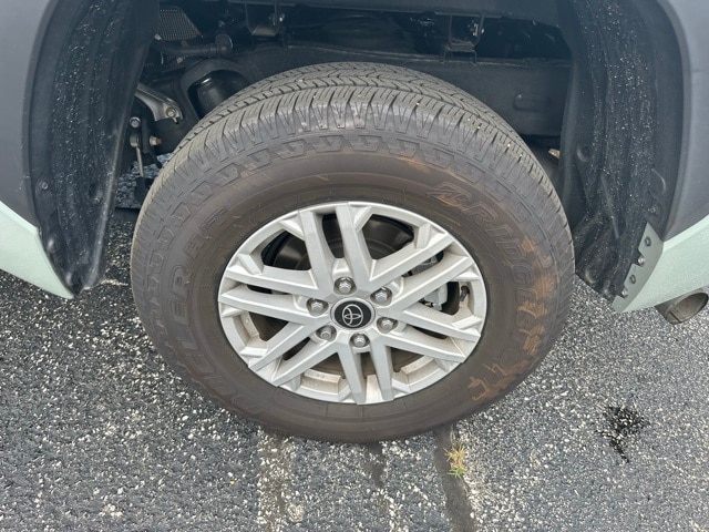 Image 19
