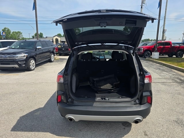 Image 13