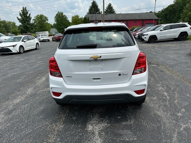 Image 7