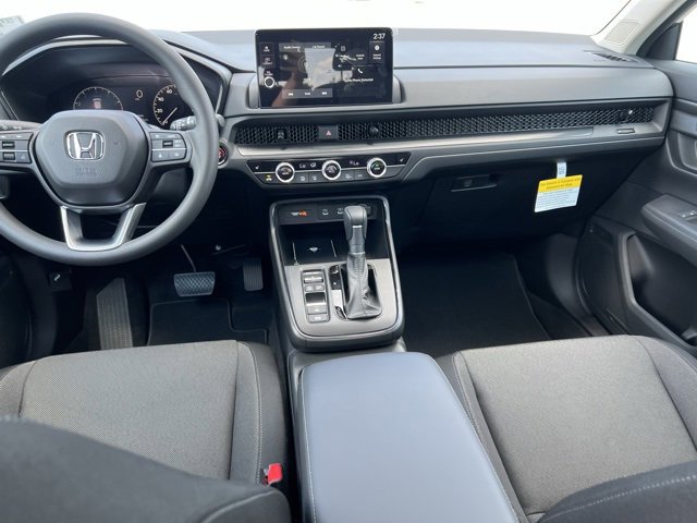 Image 15
