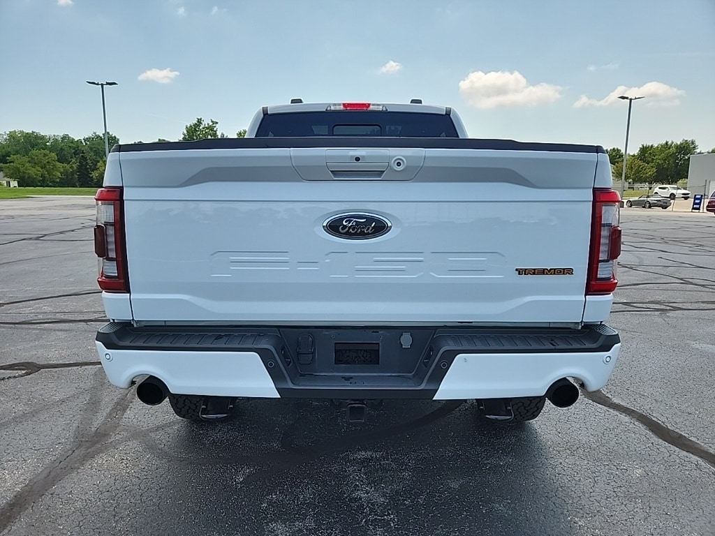 Image 7