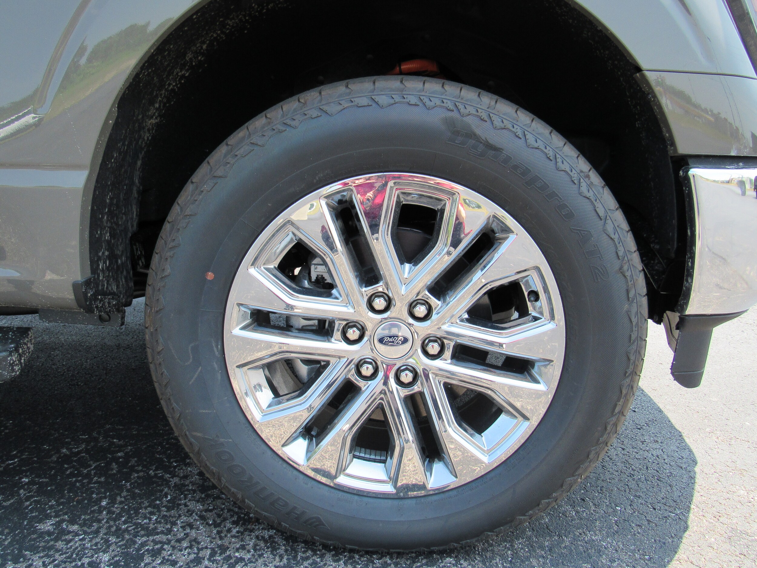 Image 7