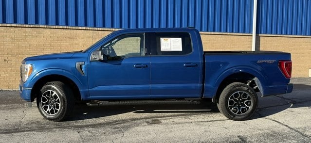 Image 7