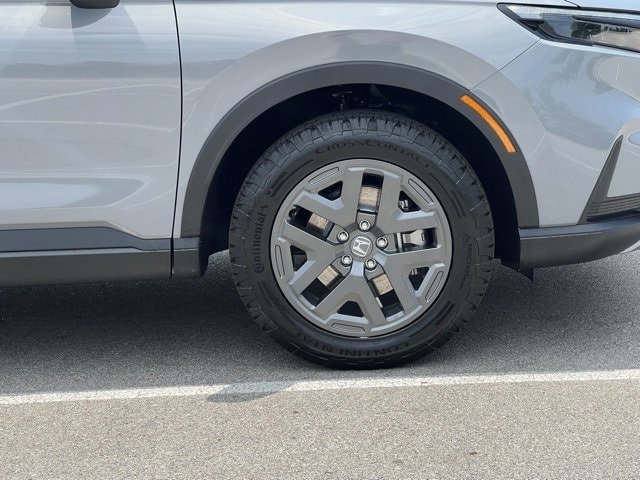 Image 12