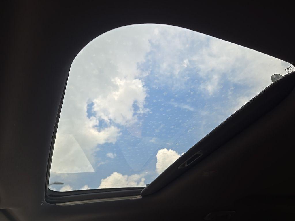 Image 15