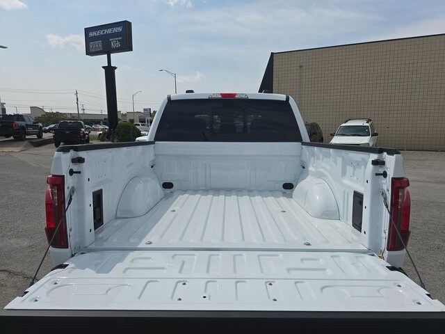 Image 7