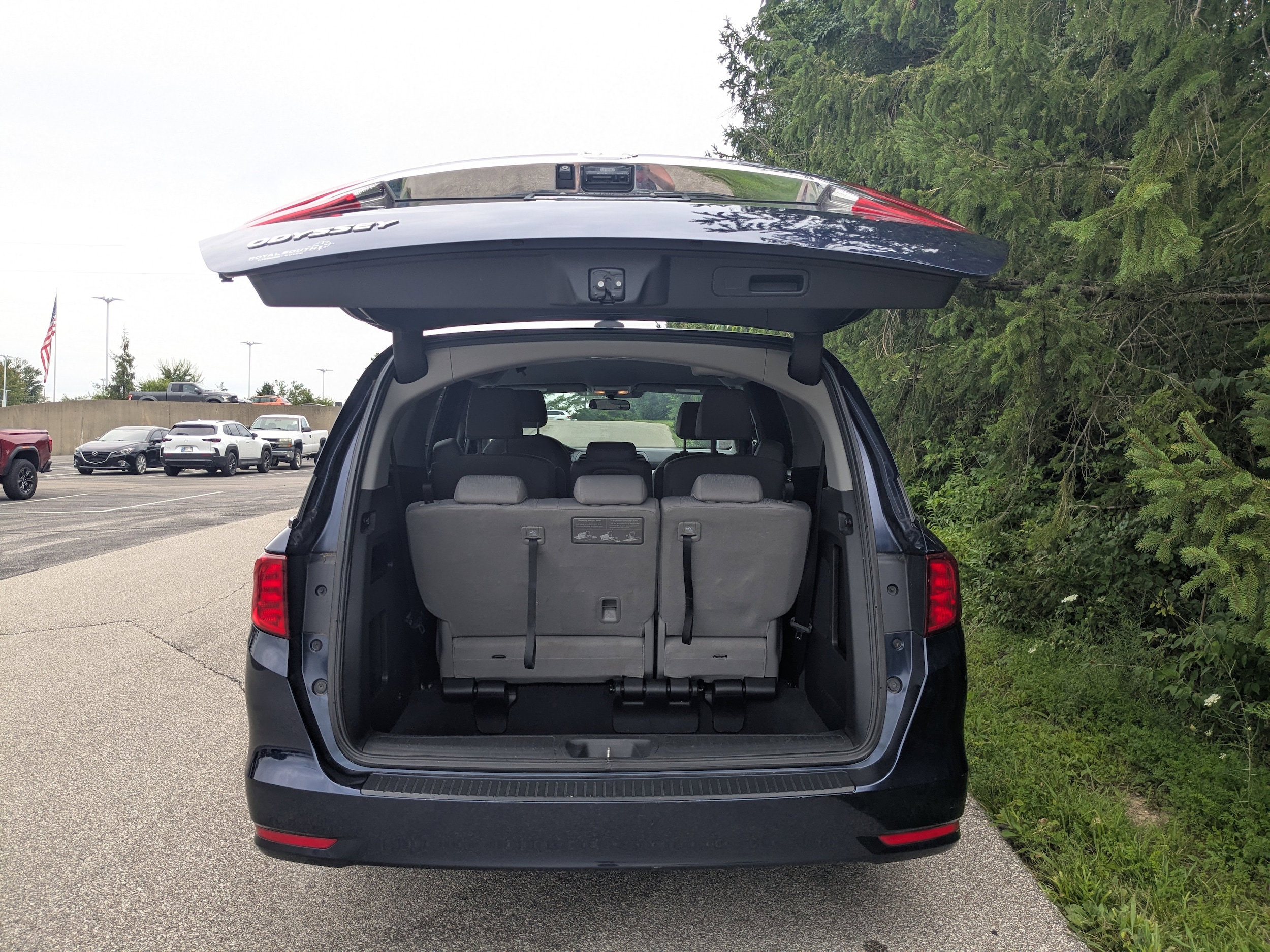 Image 19