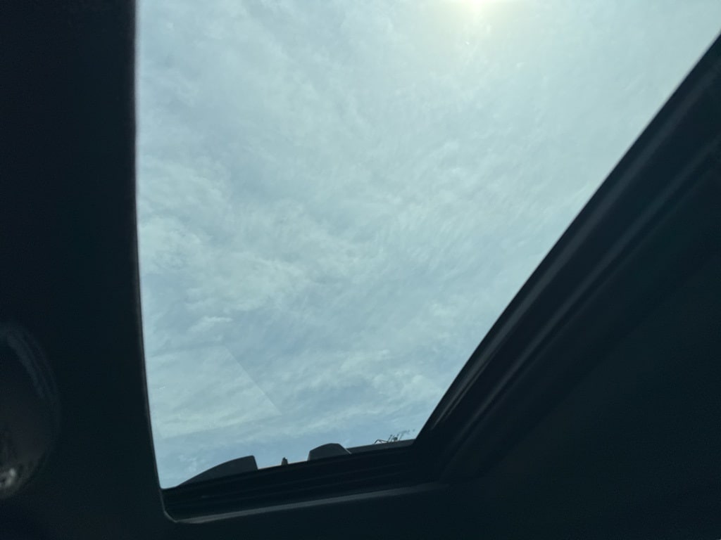 Image 19