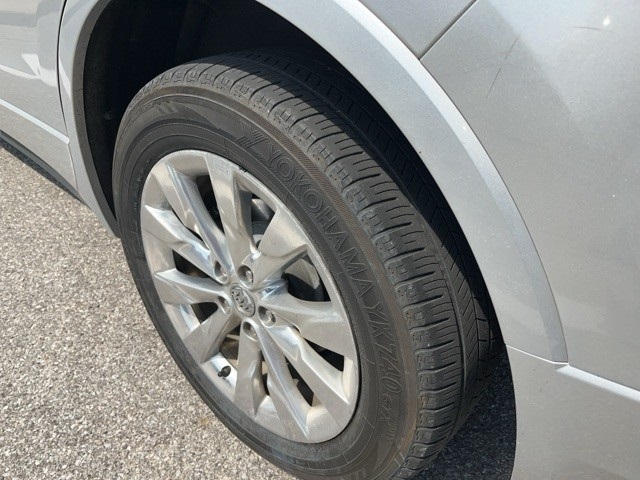 Image 5