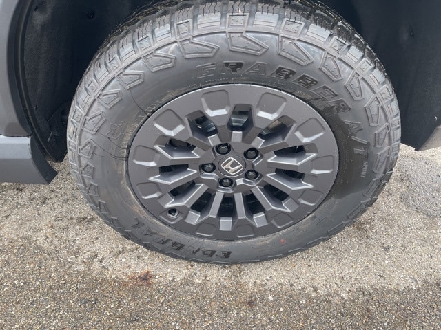 Image 10