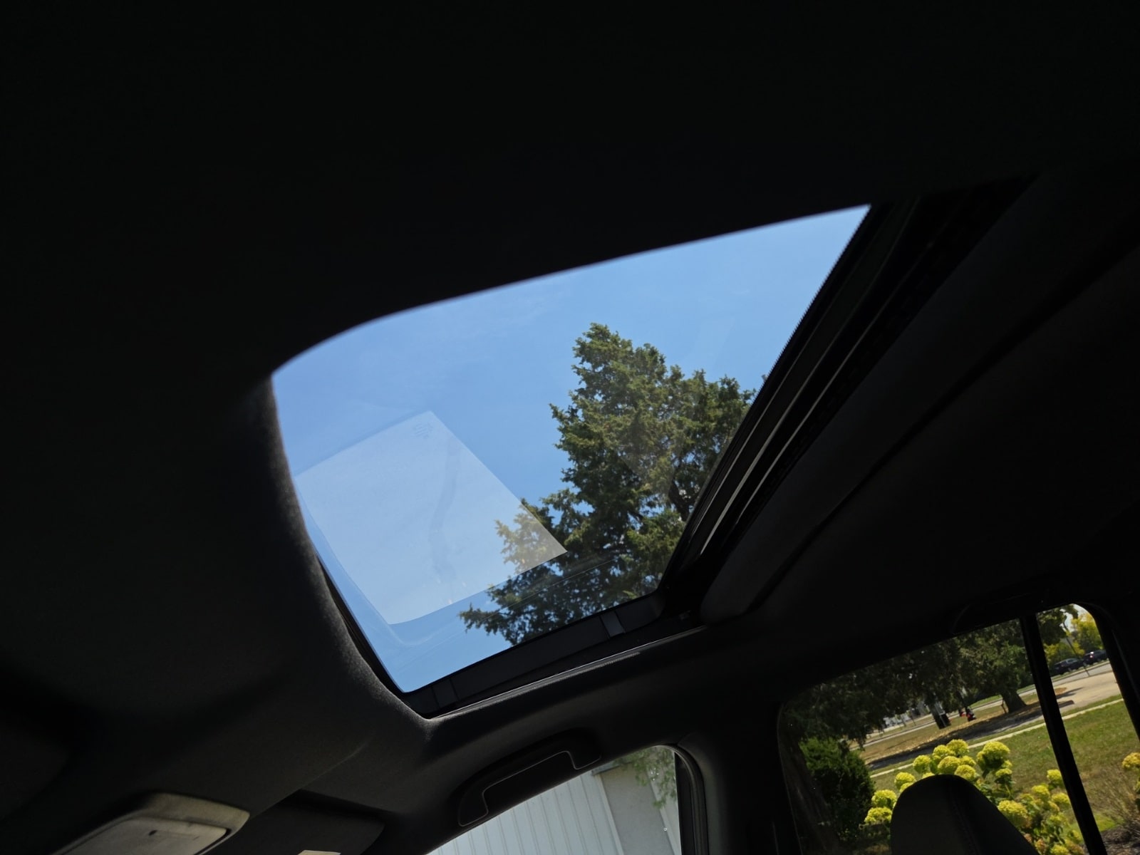 Image 19