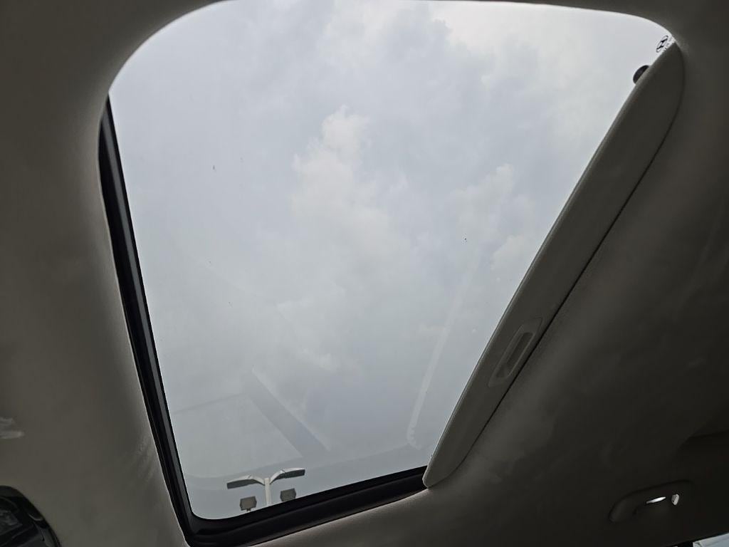 Image 15