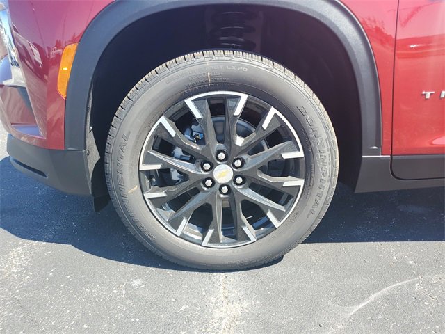 Image 8