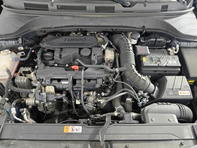 Image 22