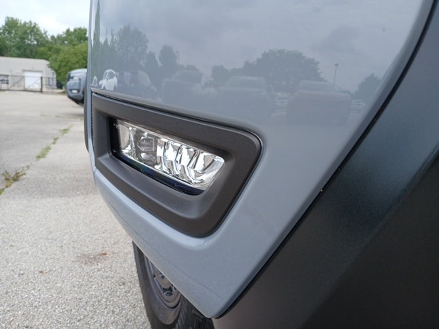 Image 7