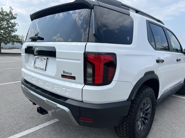 Image 8