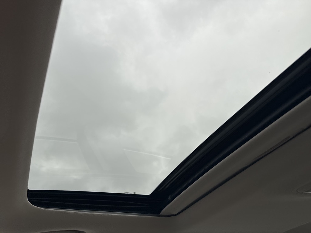 Image 21
