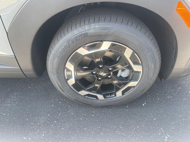 Image 8