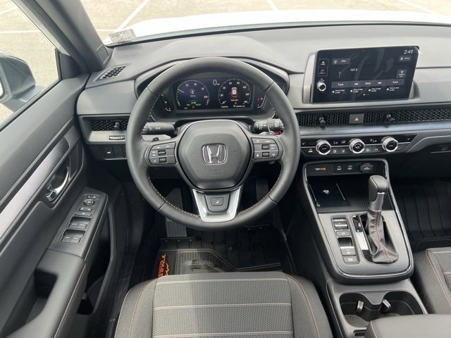 Image 15