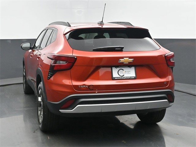 Image 4
