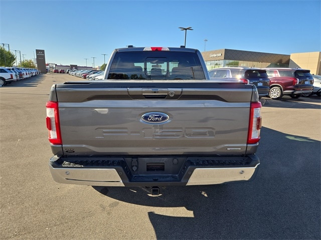Image 7