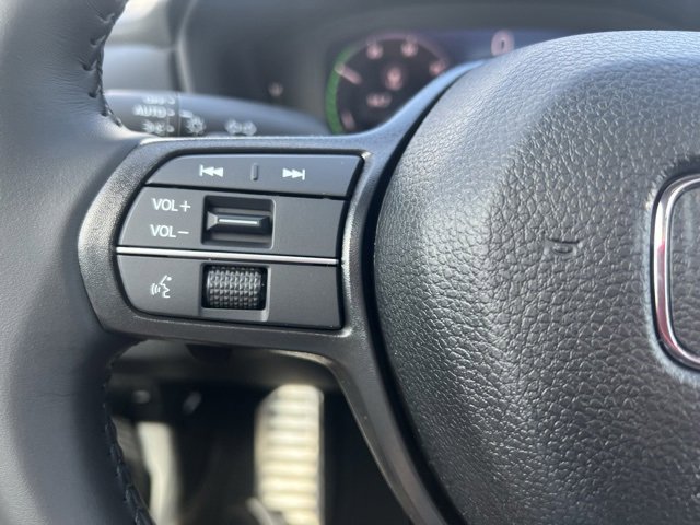 Image 17