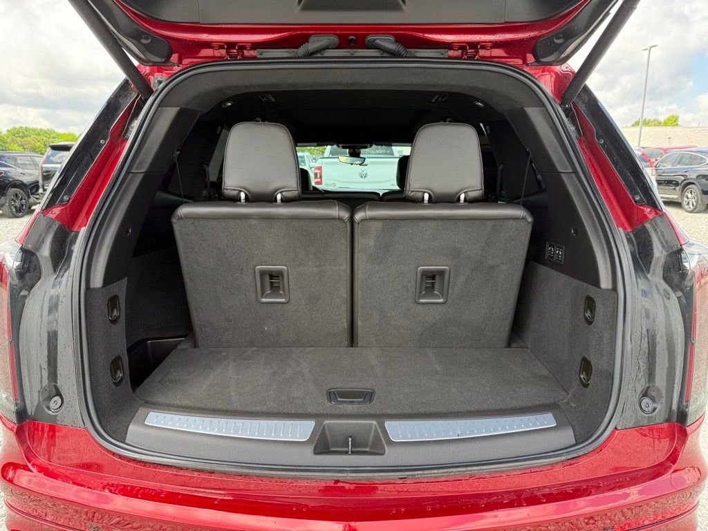 Image 11