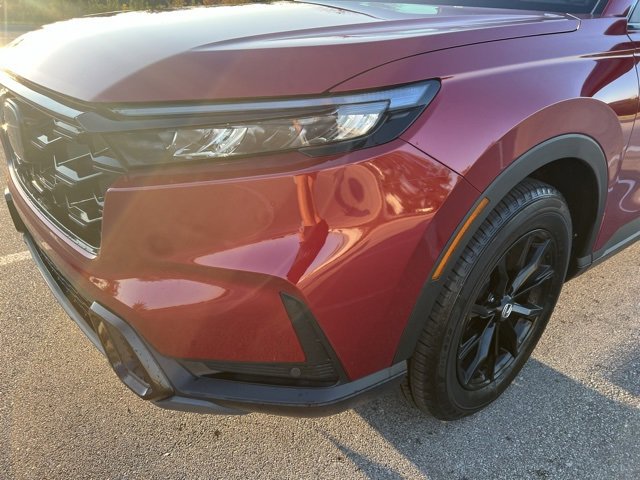 Image 5