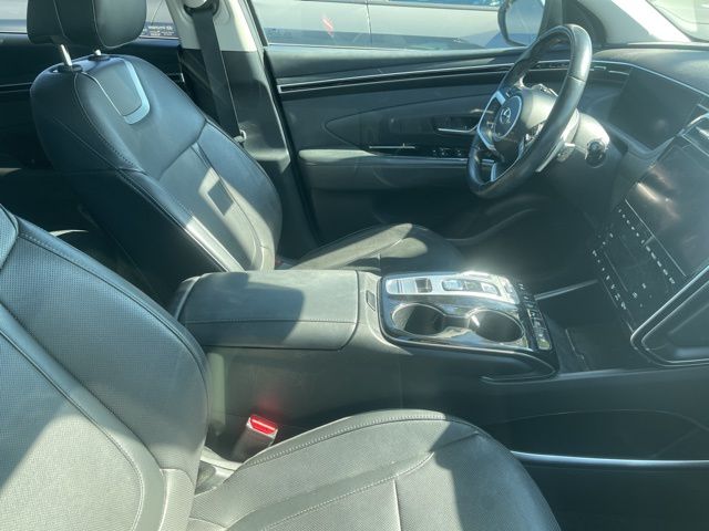 Image 6