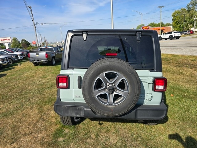 Image 4
